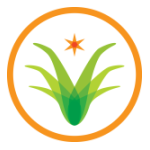 Verde Mexican Kitchen & Cantina